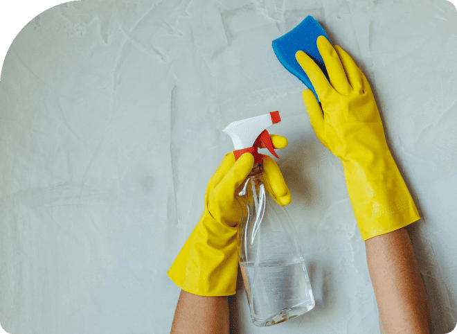 cleaning services Annual growth