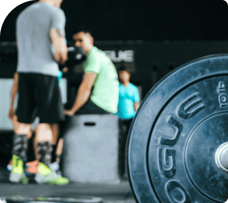 Navigating the Gym & Fitness Market