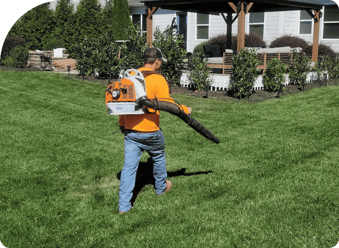 lawn care annual growth