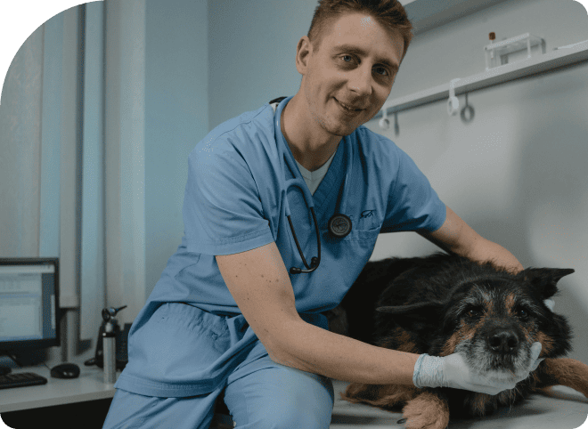 Veterinary Clinics annual growth