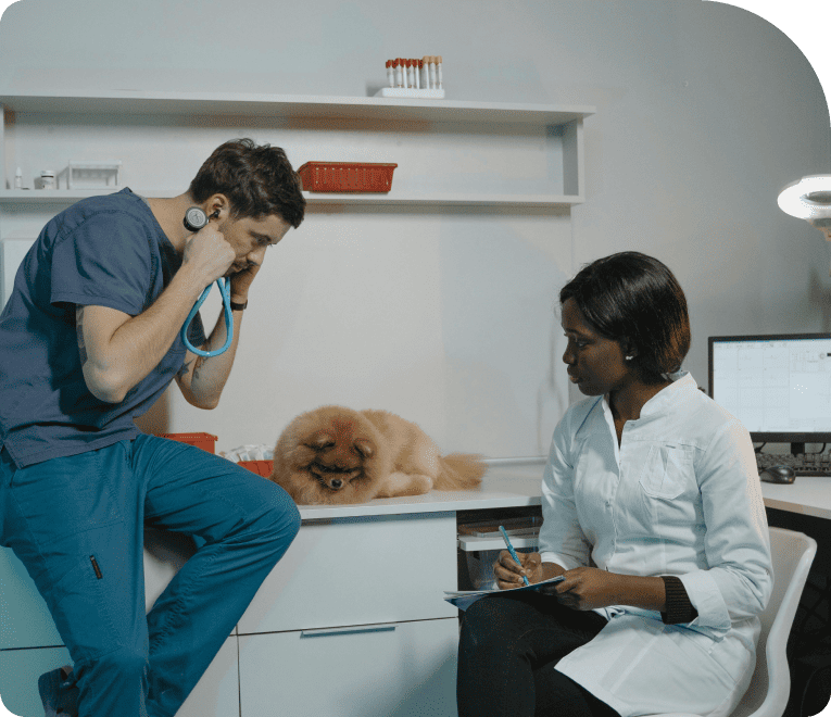 Veterinary Clinics success in action