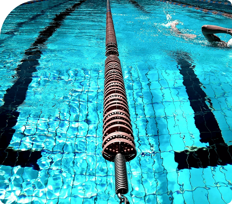 Navigating the Swimming Pool Market