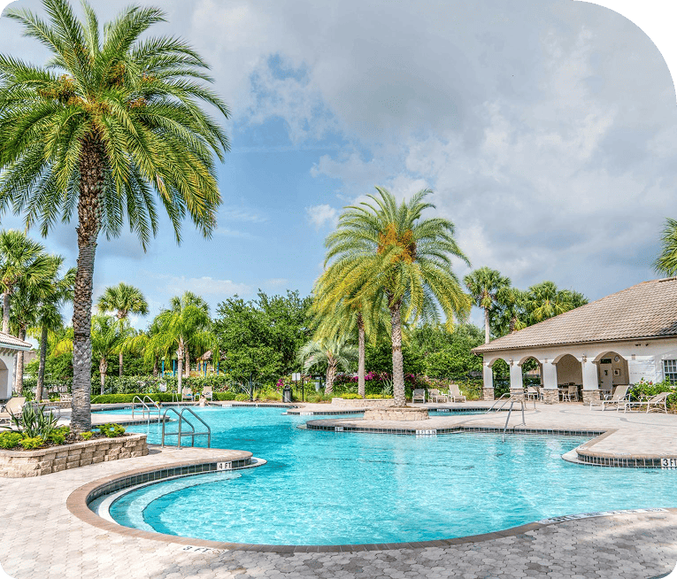 Swimming Pool Business Success in Action